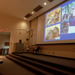 Dr. Elizabeth Mackey shares her avian medicine experiences with University of Georgia veterinary students