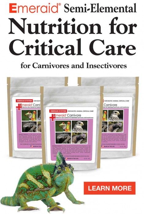 Emeraid Carnivore nutrition for critical care
