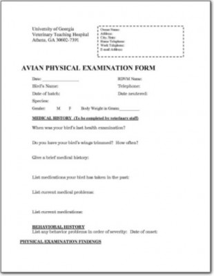 Avian physical exam form