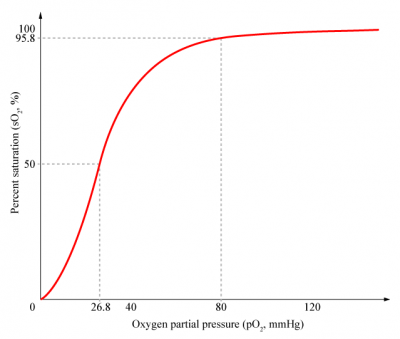 This mammalian oxygen-hemoglobin dissociation curve illustrates the nonlinear relationship between the partial pressure of oxygen and the percentage of total hemoglobin saturated with oxygen at normal body temperature and pH.