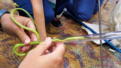 Aggressive or venomous snakes can be manipulated by trained professionals using hooks or tongs