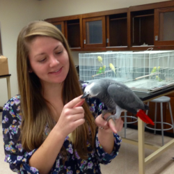 Kansas State student in the handling lab led by Dr. Julie Burge