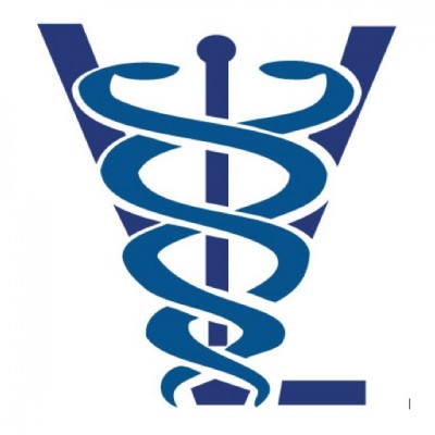 LV logo