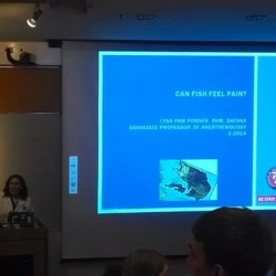 Dr. Lysa Pam Posner lectures on pain perception in fish