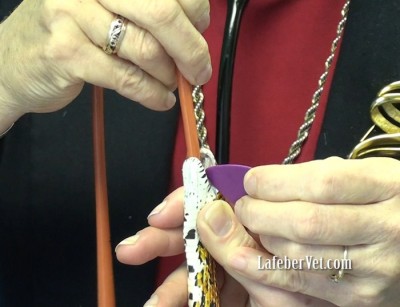 Tubing snake mouth speculum