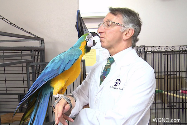 Dr. Rich with a blue and gold macaw; Photo credit: WGNO.com