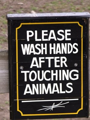 Hand washing warning