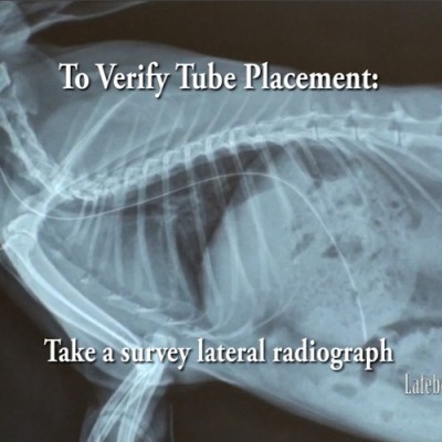 Un método para verificar la ubicación del tubo es tomar una radiografía laterals