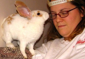 Al igual que muchos animales domésticos, el lamer es un signo de afecto o aceptación social en los conejos