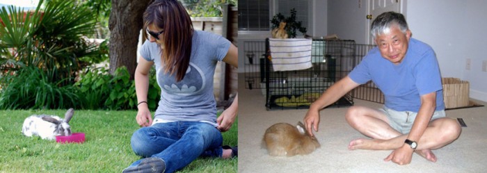 Like many wary animals, rabbits often respond better when given a choice in coming closer to the human.
