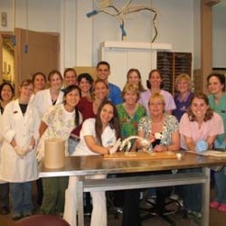 Texas A&M veterinary medical students
