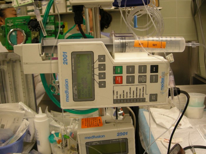 Intravenous Catheter Placement in Rabbits LafeberVet
