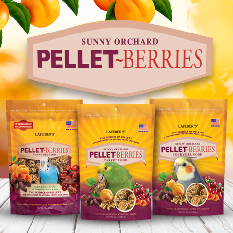 Pellet-Berries