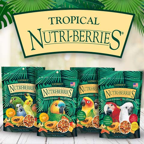 Tropical Fruit Nutri-Berries
