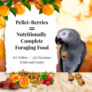 71750-pellet-berries-parrot-2