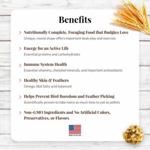 81736-parakeet-classic-nutri-berries-14lb-#2-lifestyle