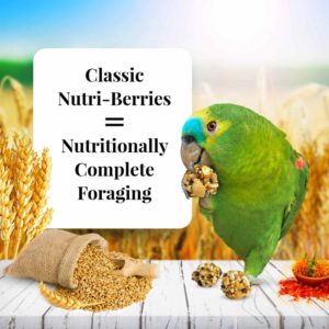 81657-14lb-nutri-berries-parrot-02