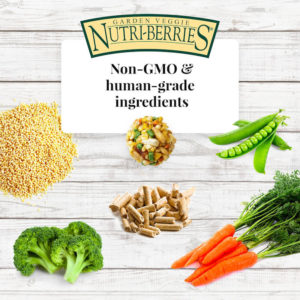 Garden Veggie NutriBerries Ingredients