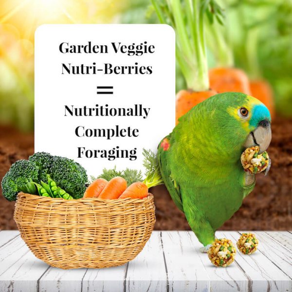 Garden Veggie NutriBerries Lifestyle