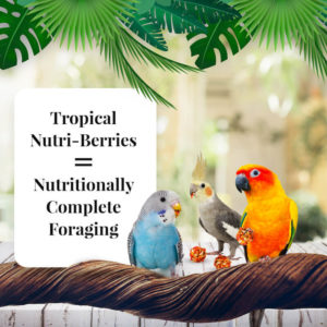 Tropical NutriBerries Small Bird Lifestyle