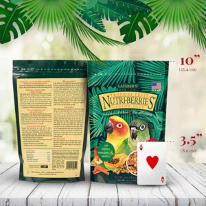 82645 Tropical Fruit Nutri Berries Conures Card size