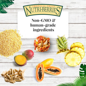 Tropical NutriBerries Parrot Ingredients