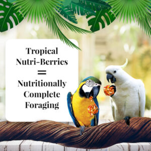 Tropical NutriBerries Macaw Lifestyle