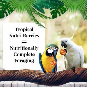 82662 Tropical Fruit Nutri Berries Macaws & Cockatoos