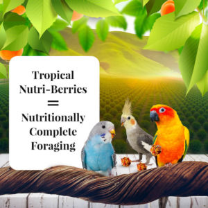 Sunny Orchard NutriBerries Small Birds Lifestyle