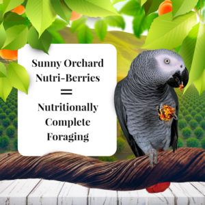 Sunny Orchard NutriBerries Parrot Lifestyle