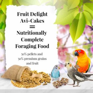 86210-8oz-fruit-delight-avi-cakes-small-birds-lifestyle