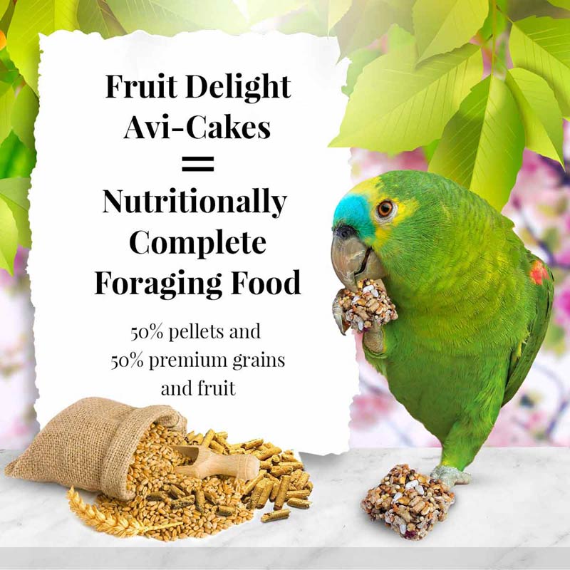 86230-8oz-fruit-delight-avi-cakes-parrots-lifestyle