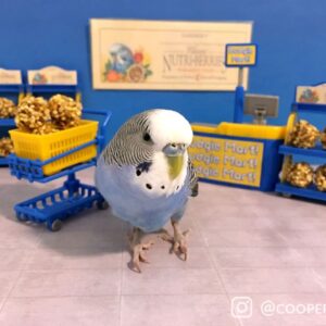 Cooper Classic NB