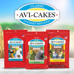 Avi-Cakes