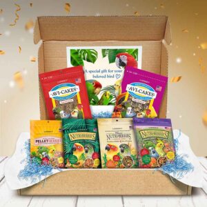 Conure Gift Box