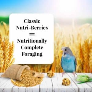 az-81730-10oz-nutri-berries-parakeet-02