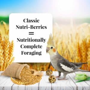 az-81740-10oz-nutri-berries-cockatiel-02