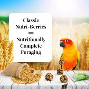 az-81745-10oz-nutri-berries-conure-02