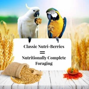 az-81760-10oz-nutri-berries-macaw-cockatoo-02