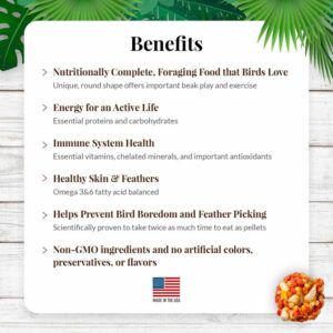 az-82640-10oz-nutri-berries-tropical-fruit-cockatiel-03