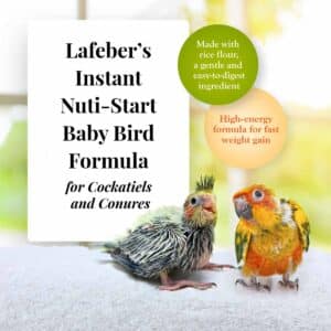 az-84040-1lb-nutri-start-baby-bird-food-1-2605