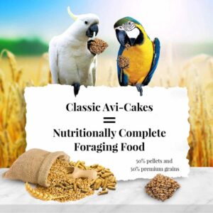 az-classic-avi-cakes-macaw-cockatoo-lifestyle