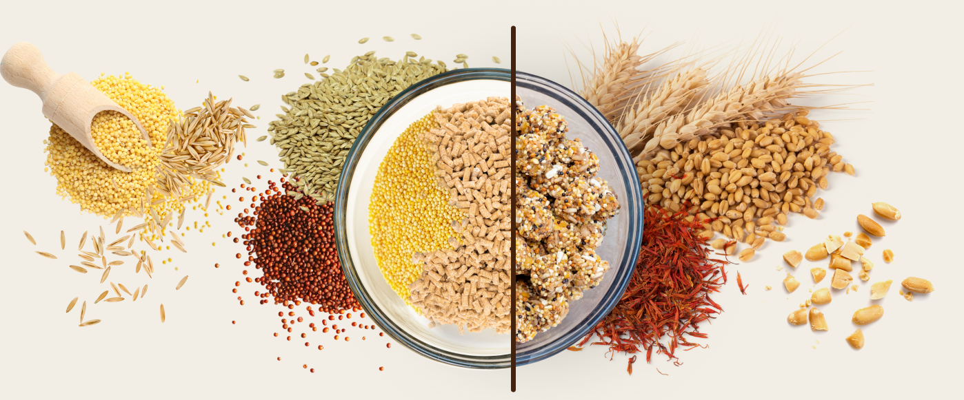 ingredients-banner-2