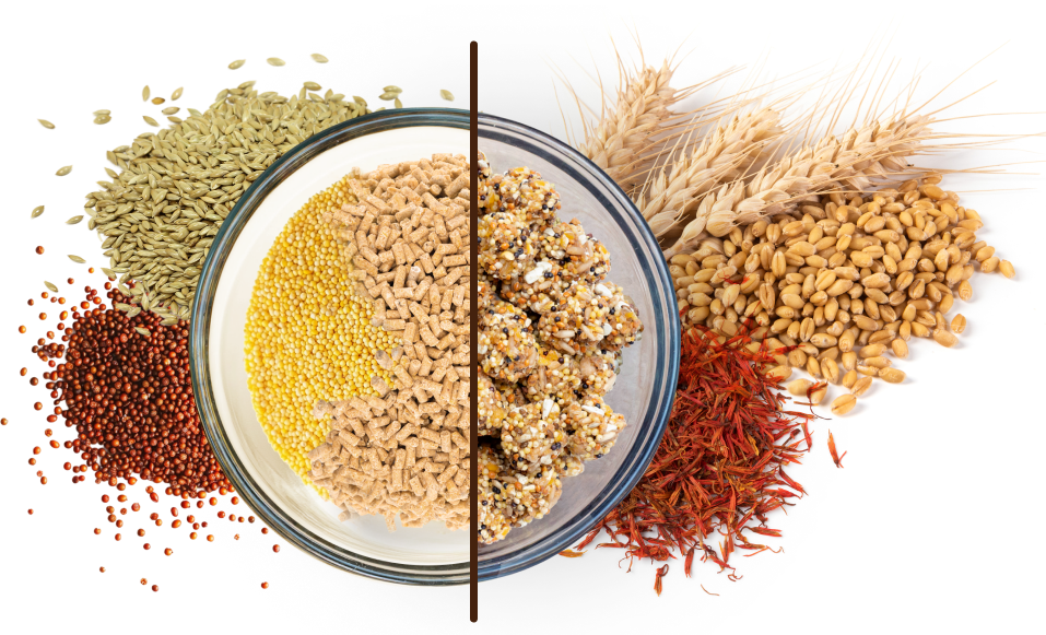 ingredients-banner-mobile-2