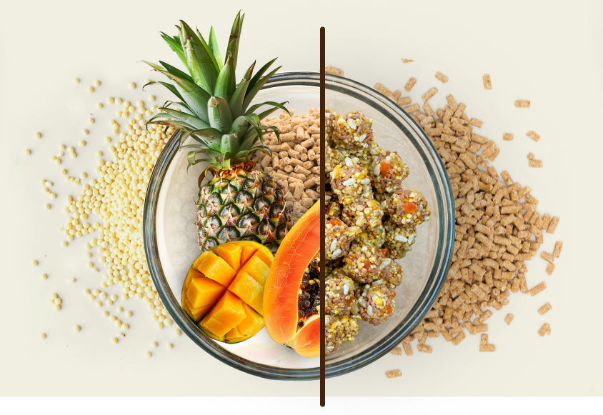 ingredients-banner