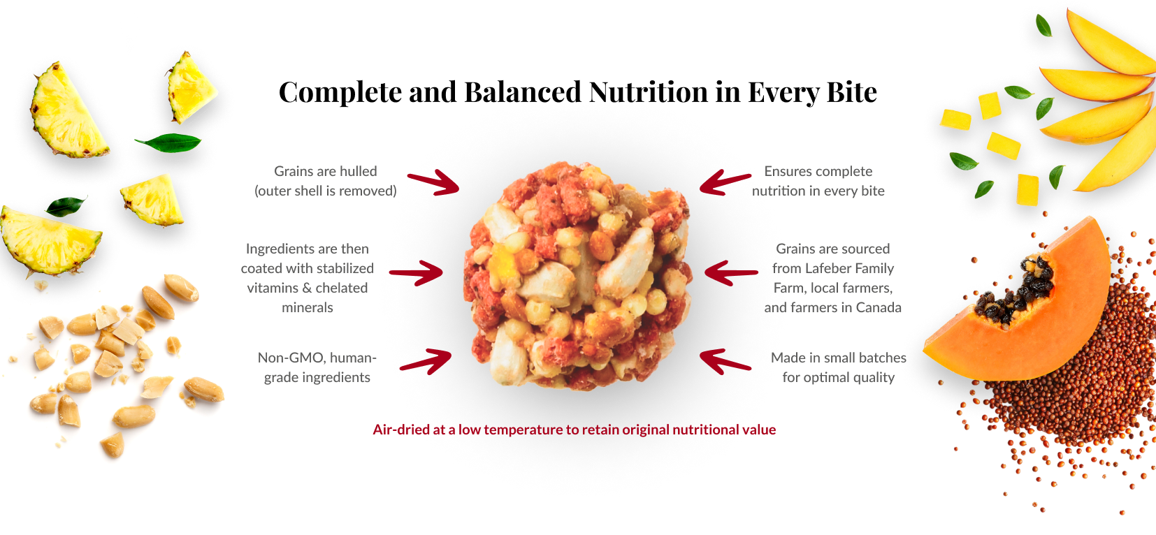 nutrition-banner