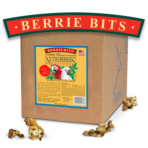 Classic Berrie-bits for Macaw