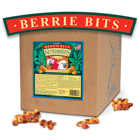 Tropical Berrie-bits for Macaw
