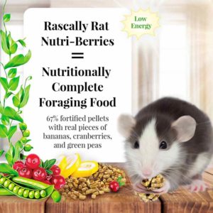 42510 Rascally Rat Nutri-Berries foraging food