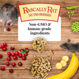 42510 Rascally Rat Nutri-Berries non-GMO
